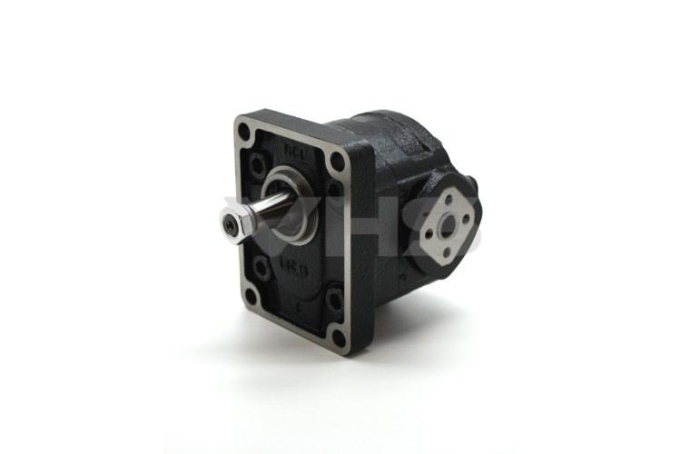 Casappa KP20 11cc Group 2 Cast Iron Gear Pump Flanged Ports