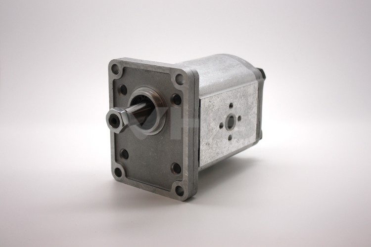 Casappa PLM20 33.03cc Group 2 Gear Motor Flanged Ports