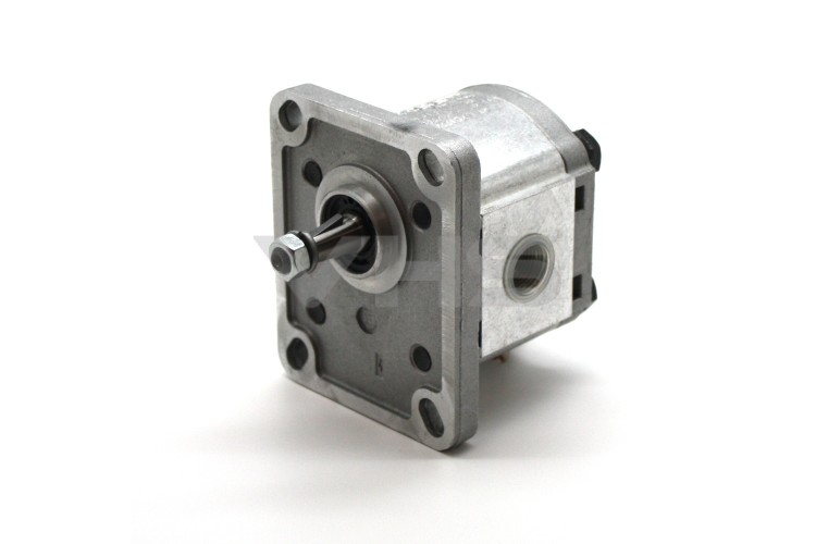 Casappa PLP10 1.6cc Group 1 Gear Pump BSP Ports