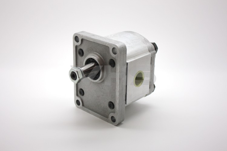 Casappa PLP20 4cc Group 2 Gear Pump BSP Ports